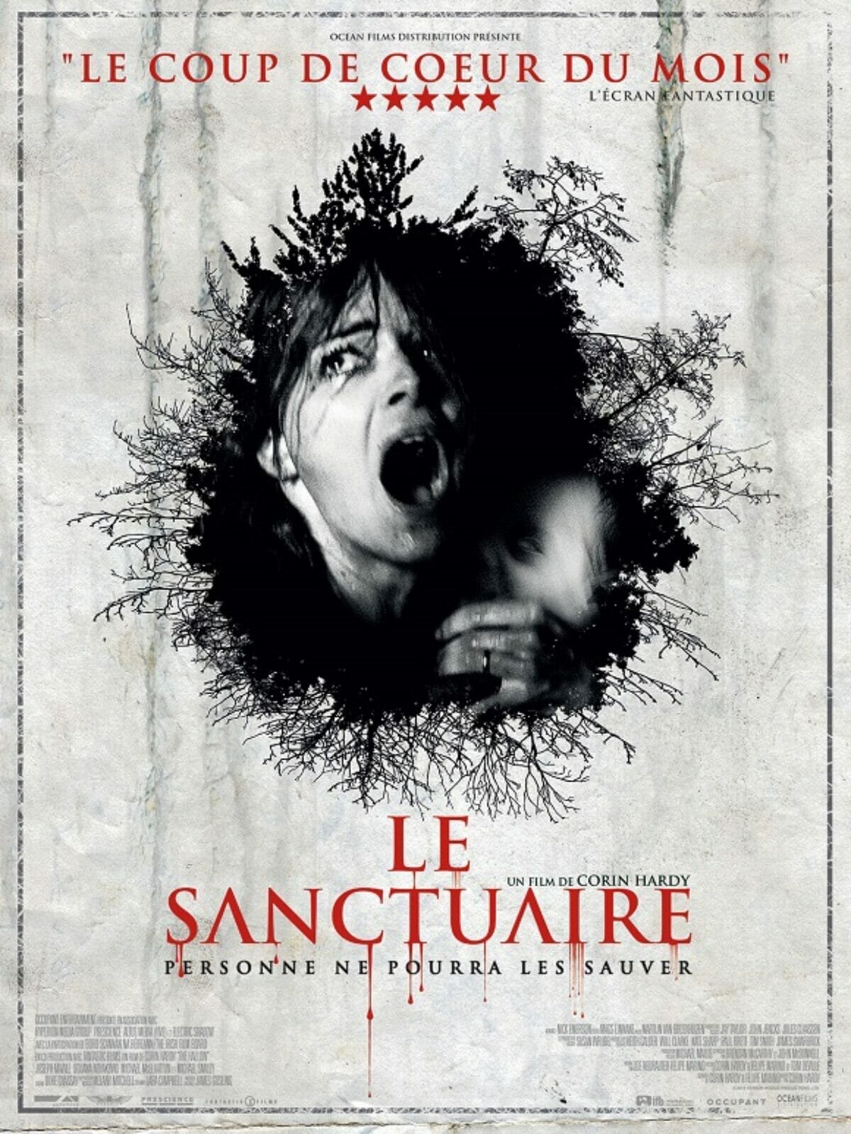 Le-Sanctuaire-The-Hallow-poster