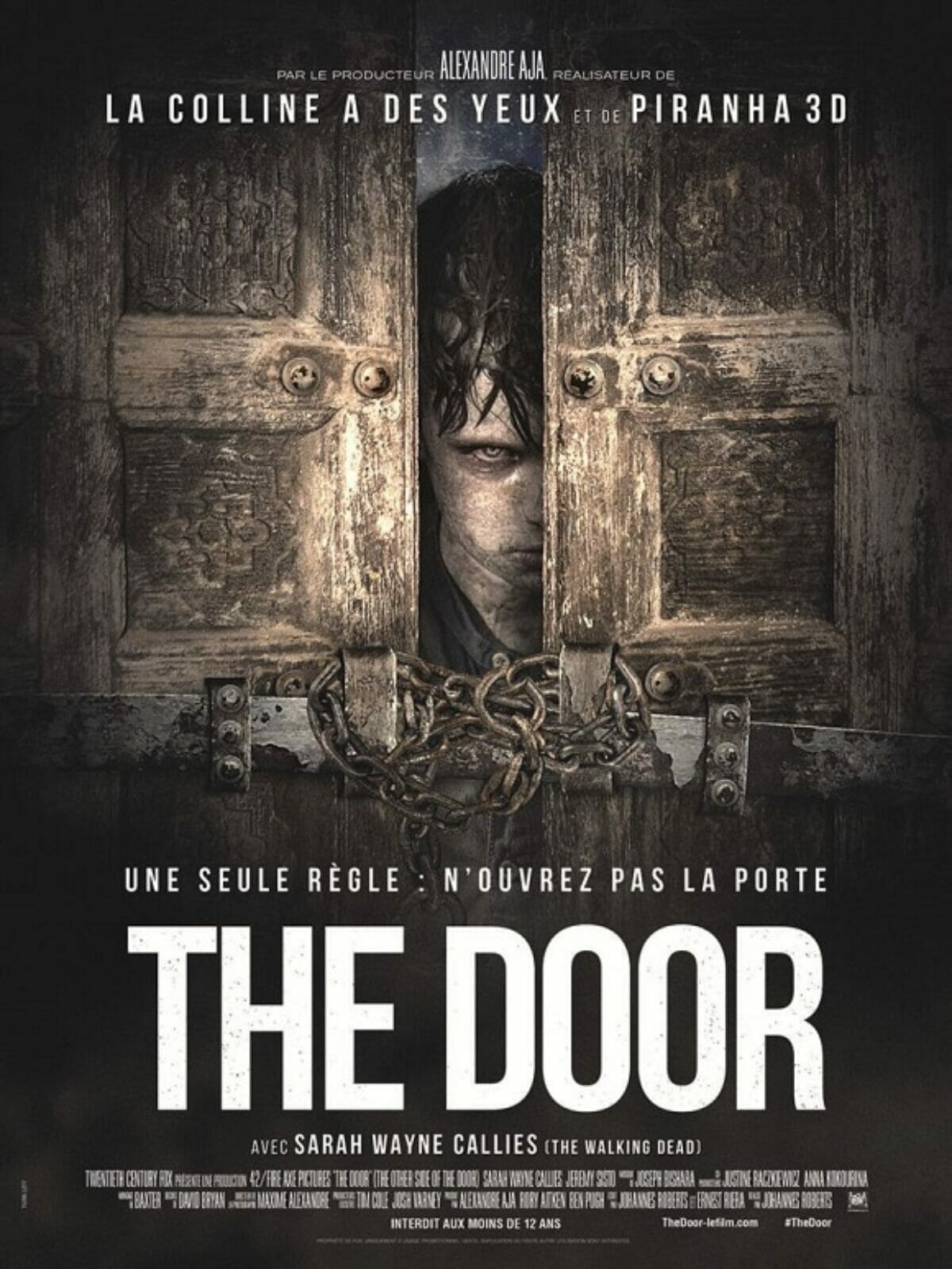 The-Door-poster